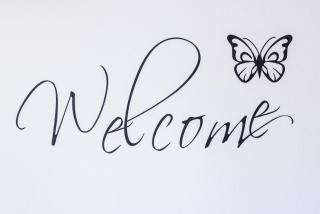 La Lupa Capitolina (100 meters from the tower) - 9