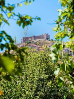 Diamanti Molivos Studios & Apartments - Mithimna - 4