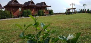 Imsuk Homestay at Chiang Rai - 5