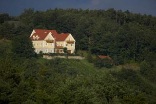 Winzerhaus Friedrich - Kaindorf - 5