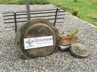 Tenuta Gaetano Spadaro - 6