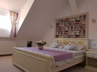 Vila Bohemia - Sibiu - 3