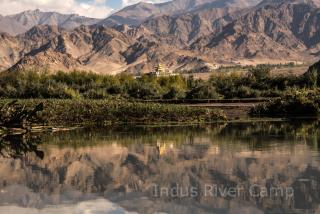 The Indus River Camp - 2
