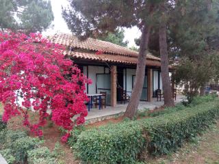 Hotel Dougas - Arkoudi - 3