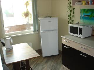 Siguldas Street Apartment in Ventspils - Ventspils - 6