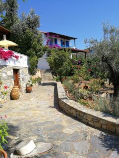 Christou Homes - Steni Vala Alonissos - 4