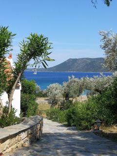 Christou Homes - Steni Vala Alonissos - 0