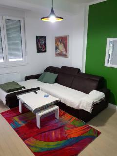 Modern apartment - Banja Luka - 5