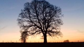 Gîte de Thirifays - 3