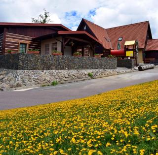 Apartmány pod sjezdovkou - Čenkovice - 9