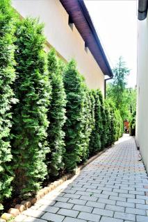 House Apartment Minerilor - Cluj-Napoca - 5