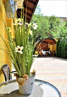 House Apartment Minerilor - Cluj-Napoca - 8