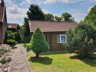 Tannenzapfen - Kratzeburg - 5