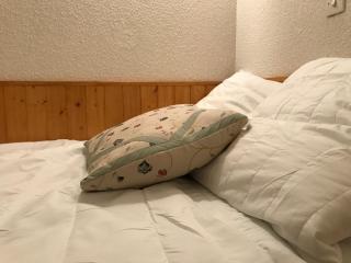 Au pied du telecabine, T2 parking et casier a ski - Cauterets - 2