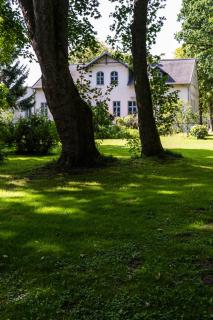 Gutshof Groß Behnkenhagen - 6