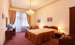 Spa Hotel Purkyně - Karlovy Vary - 6