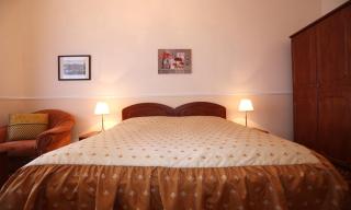 Spa Hotel Purkyně - Karlovy Vary - 7