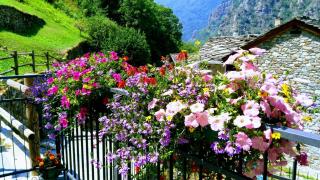 B&B Maison Vallomy - Lillianes - 6