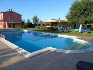 Aliseo - Marina di Grosseto - 0
