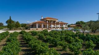 Aneli Luxury Villas-Villa Anastasia - Ayios Kirikos - 3