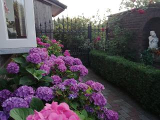 La Rose - Overpelt - 6