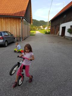 Biobauernhof Schöttelbauer - Rosenau am Hengstpass - 7