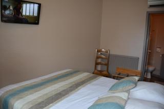 Logis Hôtel Bellevue - Bessines-sur-Gartempe - 2