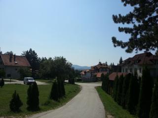Apartman Voja - Zlatibor - 4