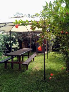 Casa Mirella - Bolsena - 3