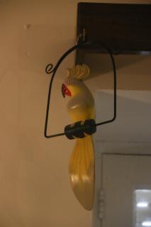 Costa Norte Guesthouse - 6