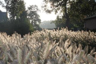 B&B de Rijcke Rust - 6