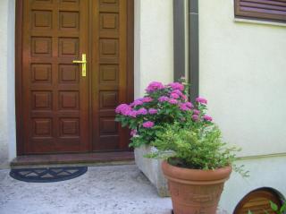 Vacation Home Lucija - 2