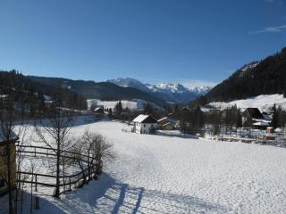 Trendapartment - Russbach am Pass Gschütt - 1
