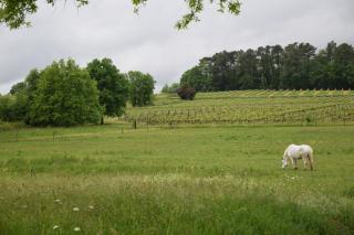 Chez Claude et Aline - 7