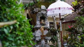 Nyuh Gading Accommodation Ubud - 1