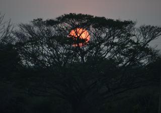 Lavish Eco Jungle - Tissamaharama - 0