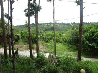 Coconutbeach Bungalows - Koh Rong Island - 7