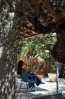 Moorea Country Houses - Petalidi - 6