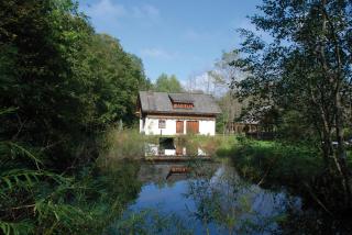 Ferienhaus Klopeinersee Kärnten - Sittersdorf - 7