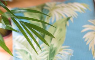 Apartamentos Santa Maria by Heart of Funchal - Funchal - 3
