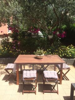 Apartman Bingo - Zadar - 9