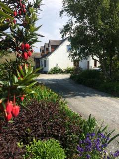 The Lovecroft Guest House - 4