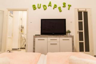 Wonderful Apartment Budapest - Budapest - 9