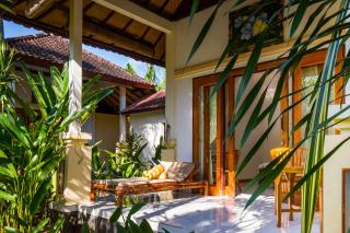 Oasis - Amed - 8