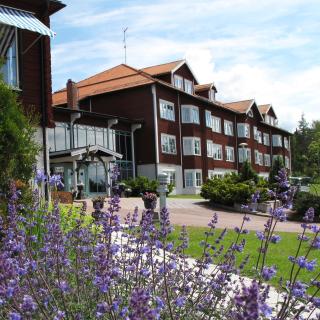 Dalecarlia Hotel & Spa, BW Premier Collection - Tällberg - 0