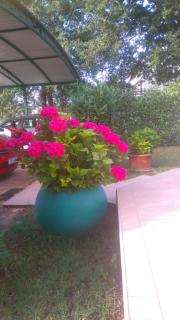 Apartmani BAUK - Poreč - 2