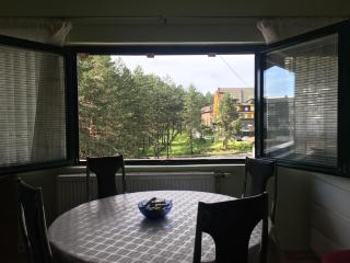 Apartment Vila Jezero - Zlatibor - 1