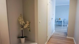 Apartament Olimp - Gorzów Wielkopolski - 4