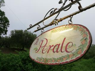 Il Perale - Caselle in Pittari - 2