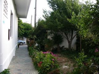 Oasis Studios - Palaiochóra - 4
